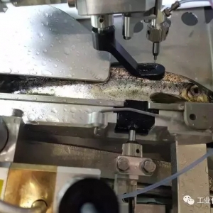 �������@������ÿС�r������20000β�~