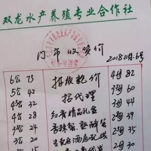 11��6�մ��lз��r�Σ��d�����������ߴ������顢�}�ǵ��Ј�