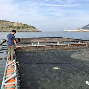 �~�Ͻ�O�W���������Ї��O�W���ИI����һ�������I������