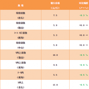 �������~���f�~����̎����߅������2018��11��9�����~���^�r��