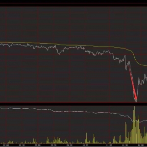 �C�����������ɱ��ȡ����ߡ�