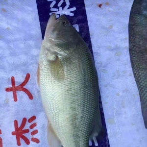 �V�|��Ҏ���~�������࣡����B��ϧ�۴��r