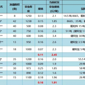 �K�������ϲ��~���Ј��N������200%���N���ı��lʽ���L����������������һ݆��ِ