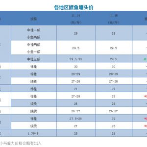 �V�|�Z�~�r�����䣡���N�����N���m�߃r�������񱩵���2018��11��16���Z�~��r