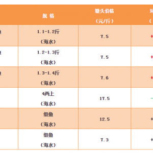 ���|���~�r��΢��������󡪡�2018��11��16�պ��|�����~��ä�ܡ��S�����^�r��