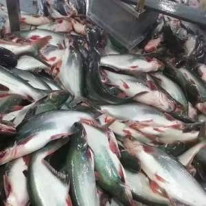 ���a��ɳ�~���������������ǃr�ߟo؛�������Ї���ɳ�~�Bֳ�����S��