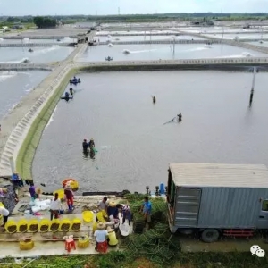 �ĘI40����ǰ݅����"�桱���r��+�������B�rģʽ���׺��ڿ���ٍ�X��