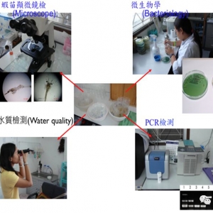 �@����һ���˜��b�e�õ����������r������ЈD�����ࣩ