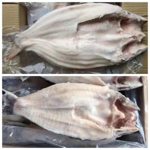 ��׺��P��ץ��˽�����a��ɳ�~�Ä����Խ��߅�Q���r�ʹ����еͶ˲��