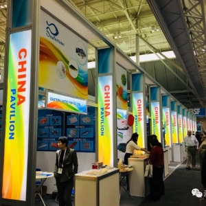 ���⿼��s�ɣ�2019�걬ƷС���r��׌�҂��ı�������