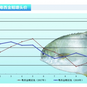 ���K����������p�����r�����ֺ�P������ˮ�aǰ�ء�2018��12�¿��Ј�څ��