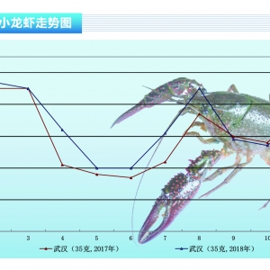 С���r���r���Ј���������p�كr�����ϝq������ˮ�aǰ�ء�2018��12�¿��Ј�څ��