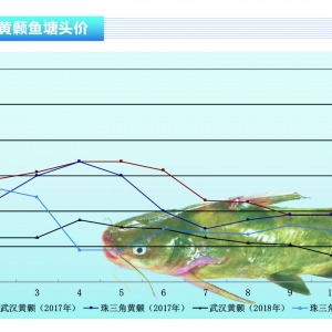 �S��~���V�|���m���У�������������������ˮ�aǰ�ء�2018��12�¿��Ј�څ��