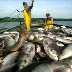 ���������˱��F�����M��7.78�|��Ԫ��܊�M��������һ�l�~���l�ġ��𠎡�