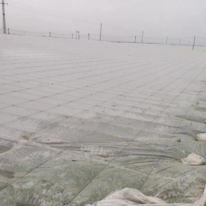 ����̽�L��ɳ�~�����Bֳ���Ї�ģʽ