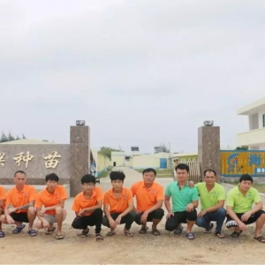 ̩ϵ����ϵ���¼���ϵ�ȡ�ͬ��F���l�F���Ј���˷���x���B������x��