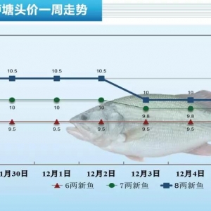 �ֵ�0.5Ԫ/������ϝq�����������|һ���������