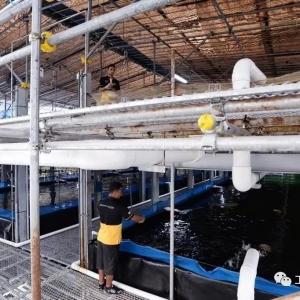 �����Bֳģʽ����׌�~�rס�M8�ӡ��ߘǴ�B��