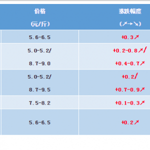 2018��12��8�����~���^�r���麆��--��ؽ��Ͳ����p�٣��~�r�ϝq