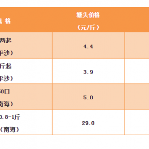 2018��12��14���a�~���_���~�����N�����~���^�r��