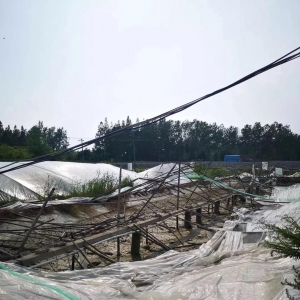 ���r�B(y��ng)ֳ��һ�h��25000��С����ʧ�����°���H20%�B(y��ng)���ʣ�