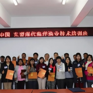 ���}���B(y��ng)�r�ɹ��ʸ��ߣ����S��ģʽ�к��M(j��n)չ���@����Ӗ(x��n)����V���