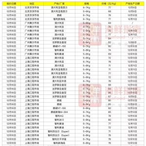 ���������~������؛���R���������~�r�����| ���r�����~�����܈�