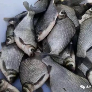 ������m���������ðl������Bֳ���~���B�m5�궼���A���飡