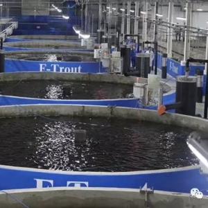 ���������ɫ��ˮ�a�߿Ƽ���1�����ݼ{800���~��