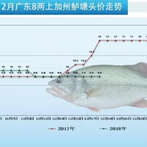 �»�0.2Ԫ/��V�|�����|ͬ��ȥ���1.2Ԫ/�����2018��12��18�ռ����|��r