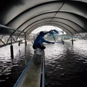 ����������Ӌ��δ���������̩��ֹͣ�ڑ����Oʩ�B�r