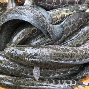 �~�Љ��r������~�r����ԣ�����������~��̫�󣿣�