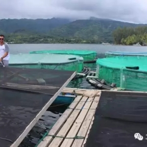 �W���Bֳ���{���r�����a���_��32��/ƽ��һ���оʹ��ܚgӭ