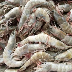 2019���r�rҪ���q�������P������˽�����r���P�M���j��50%