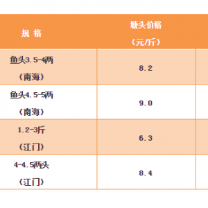 �S��~������ԣ��r���»�����2018��12��21���S��~����β�t���������^�r