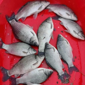 �K��8���a�~ֻ�u4Ԫ/���՚��ٴ΁��u���a�~��������ֹ����ů��