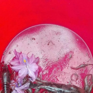 С���r�����ل��¸�������u��58Ԫ/��������2018��12��25��С���r���^�r��