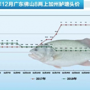 Ԫ���R�����N�������Σ��~�r������ů����2018��12��25�ռ����|��r