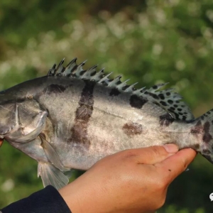 �D���~ȫ���������V�|�Z�~��ȥ���2Ԫ/��ح2018��12��26���Z�N���^�r