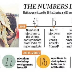 ӡ�ȳ��ڰ��r12������?y��n)鿹���ر����? class=