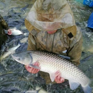 �����u�����~�r���q����Ҫ��Ҫ�u�~��