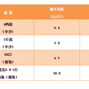 2018��12��28���a�~���_���~�����N�����~���^�r��