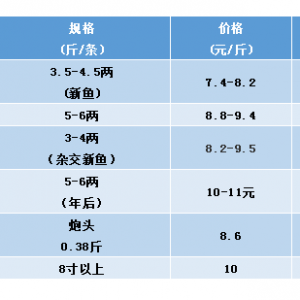 2018��12��29���S��~���^�r