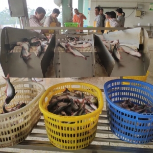 �Ї��ܷ��Ҏģ�lչ�Bֳ��ɳ�~��