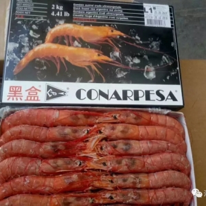 ���Ȱ���͢�t�r���������������鿴�q��