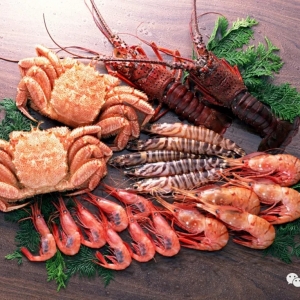 �Ї����r���M(f��i)�Ј������M(j��n)�ں��r��(w��n)�����L