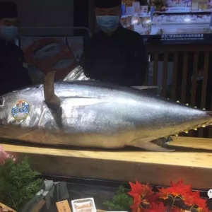 �Ї����~�Ј��ж��