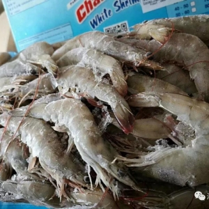 ��϶ࠖ���r���P(gu��n)؛Դ�o������؛�r����������S�}���r���