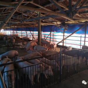 �o�����ܷ���Ӱ푣��V�|혵¾�������ɢ�B��