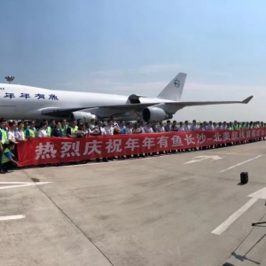 �����ֹP������747���C�\���r��3���������Ї��Ј���һ��